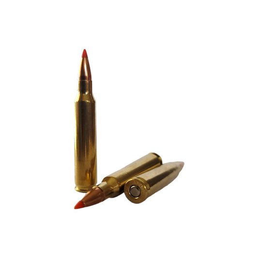 LSA-zombie-556-vmax-ammo